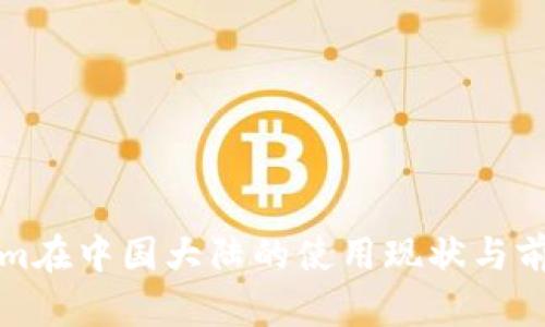 Tokenim在中国大陆的使用现状与前景分析