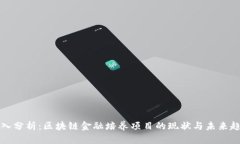 深入分析：区块链金融培养项目的现状与未来趋