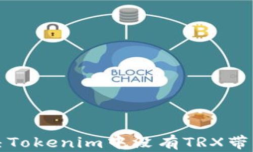 
如何解决Tokenim中没有TRX带宽的问题