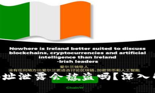 : Tokenim钱包地址泄露会被盗吗？深入解析数字资产安全