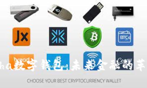  KCasha数字钱包：未来金融的革新之路