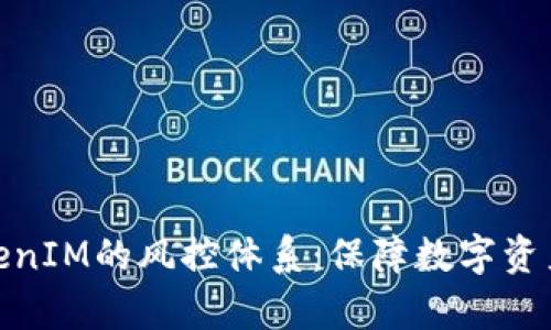 深入分析TokenIM的风控体系：保障数字资产安全的关键