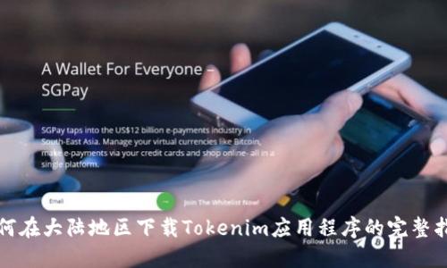 如何在大陆地区下载Tokenim应用程序的完整指南