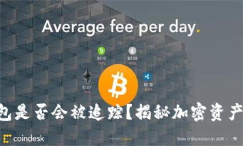 Tokenim钱包是否会被追踪？揭秘加密资产的隐私安全