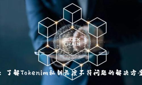 : 了解Tokenim私钥长度不符问题的解决方案