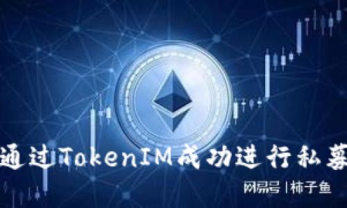 如何通过TokenIM成功进行私募融资