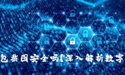 Tokenim钱包截图安全吗?深入解析数字资产安全性
