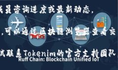 要查询Tokenim的进度,可以按照以下步骤进行: