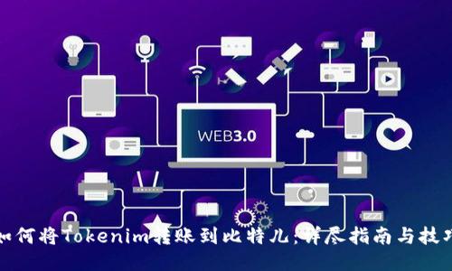 如何将Tokenim转账到比特儿:详尽指南与技巧
