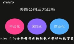 tiaotiTokenim 1.0:全面解析区块链技术驱动的数字资