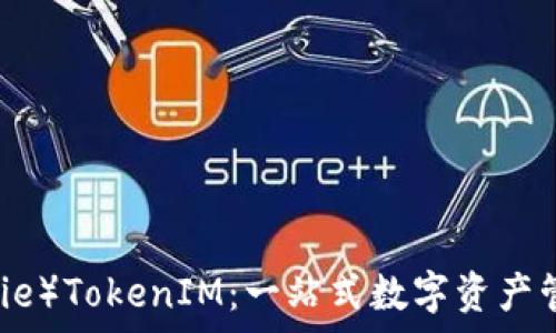 比特派(BitPie)TokenIM:一站式数字资产管理平台解析