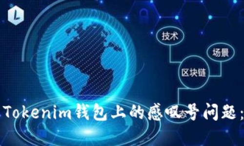 如何解决Tokenim钱包上的感叹号问题:全面指南