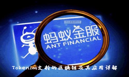 Tokenim支持的区块链及其应用详解