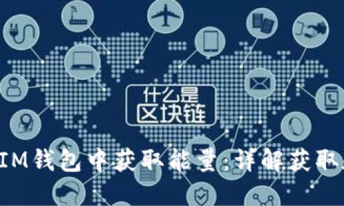 如何在TokenIM钱包中获取能量:详解获取和管理的步骤