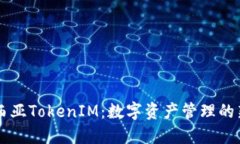 马来西亚TokenIM:数字资产管理的新纪元