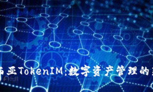马来西亚TokenIM:数字资产管理的新纪元