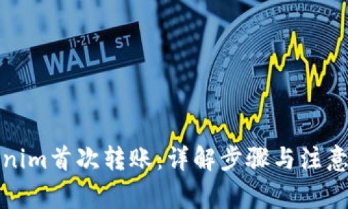Tokenim首次转账:详解步骤与注意事项