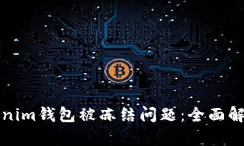 如何解决Tokenim钱包被冻结问题:全面解析与解决方案