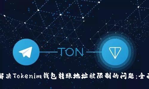 如何解决Tokenim钱包转账地址被限制的问题：全面指南