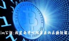 Tokenim公链：构建去中心化未来的区块链解决方案
