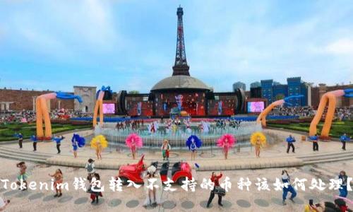 Tokenim钱包转入不支持的币种该如何处理？