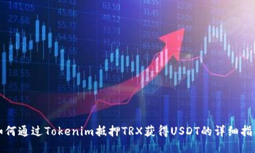 如何通过Tokenim抵押TRX获得USDT的详细指南