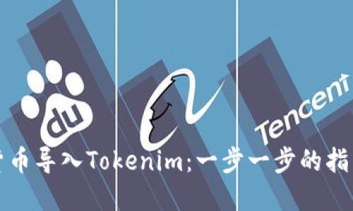 如何将数字货币导入Tokenim：一步一步的指导和实用技巧