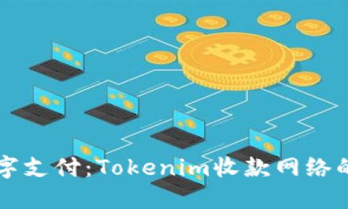 构建全球数字支付：Tokenim收款网络的优势与应用