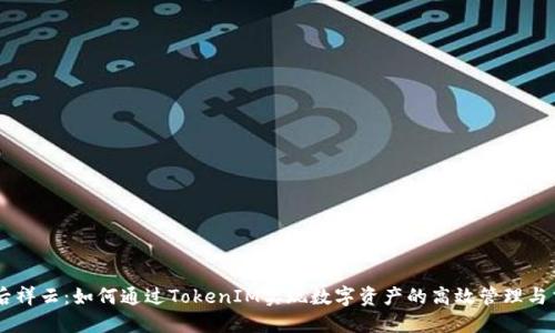 雨后祥云：如何通过TokenIM实现数字资产的高效管理与交易