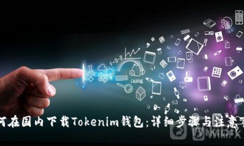 如何在国内下载Tokenim钱包：详细步骤与注意事项