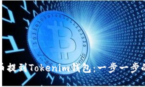如何将屎币提到Tokenim钱包：一步一步的详细指南