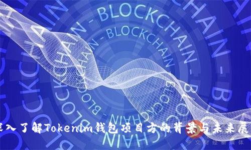 深入了解Tokenim钱包项目方的背景与未来展望