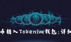 如何将加密币转入Tokenim钱包：详细教程与技巧