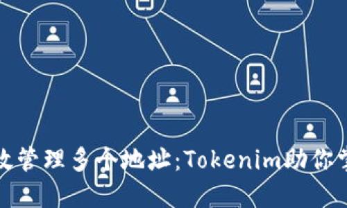 如何在以太坊上高效管理多个地址：Tokenim助你掌握数字资产的秘密