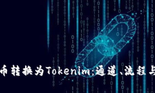 如何将货币转换为Tokenim：通道、流程与注意事项