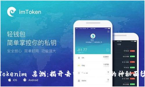 Tokenim 亲测：揭开去中心化金融的神秘面纱