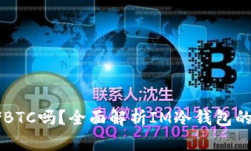 IM冷钱包能存储BTC吗？全面解析IM冷钱包的安全性与适用性