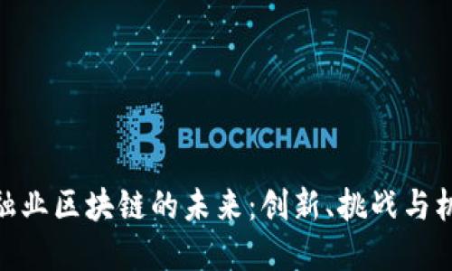 金融业区块链的未来：创新、挑战与机遇