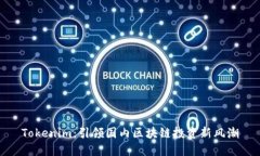 Tokenim：引领国内区块链投资新风潮