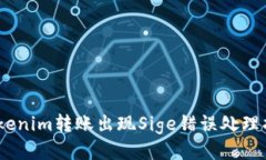 iTokenim转账出现Sige错误处理指南