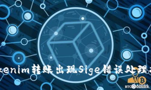 iTokenim转账出现Sige错误处理指南