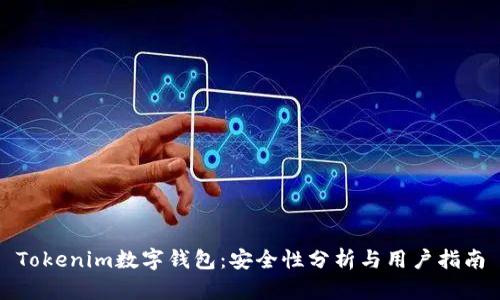 Tokenim数字钱包：安全性分析与用户指南