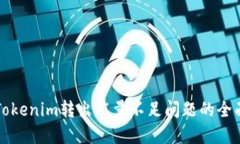 解决Tokenim转出能量不足问题的全面指南