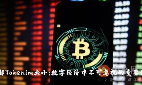 了解Tokenim大小：数字经济中不可忽视的重要因素