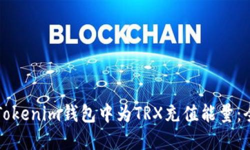 如何在Tokenim钱包中为TRX充值能量：全面指南