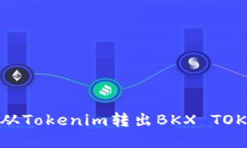 bianoti如何安全高效地从Tokenim转出BKX TOKEN：详细指南与最佳实践