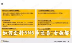 Tokenim钱包如何支持BNB币交易：全面解析与使用指
