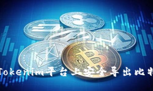 如何在Tokenim平台上安全导出比特币私钥