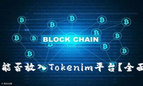 ## 狗狗币能否放入Tokenim平台？全面解析与指南