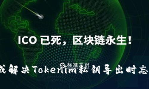 如何找回或解决Tokenim私钥导出时忘记的问题?